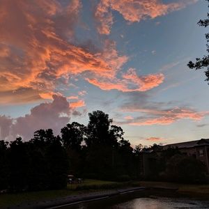 Meet your Posher, Diana